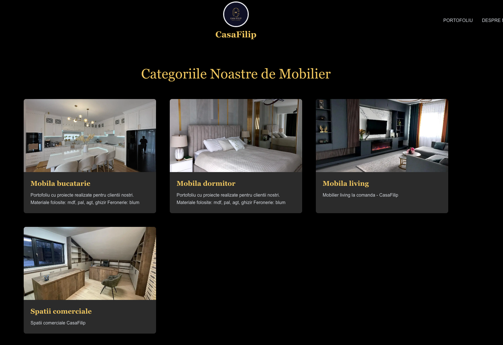 Portofolio showcase