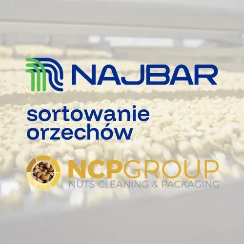 NCP Group – zakład sortowania orzechów