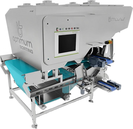 Sorter optyczny Magnus firmy Optimum Sorting z turkusową taśmą