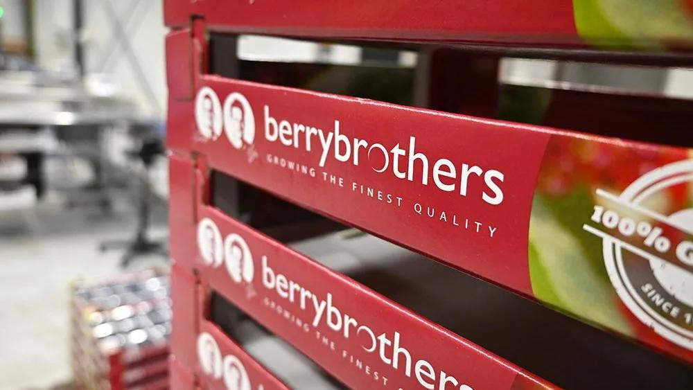 Linia sortująca owoce miękkie w zakładzie BerryBrothers
