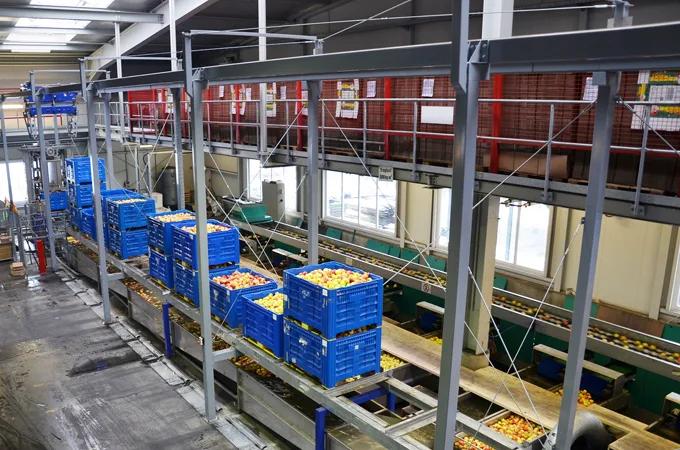 Niebieskie skrzynie paletowe na przenośniku nad kanałami wodnymi z jabłkami