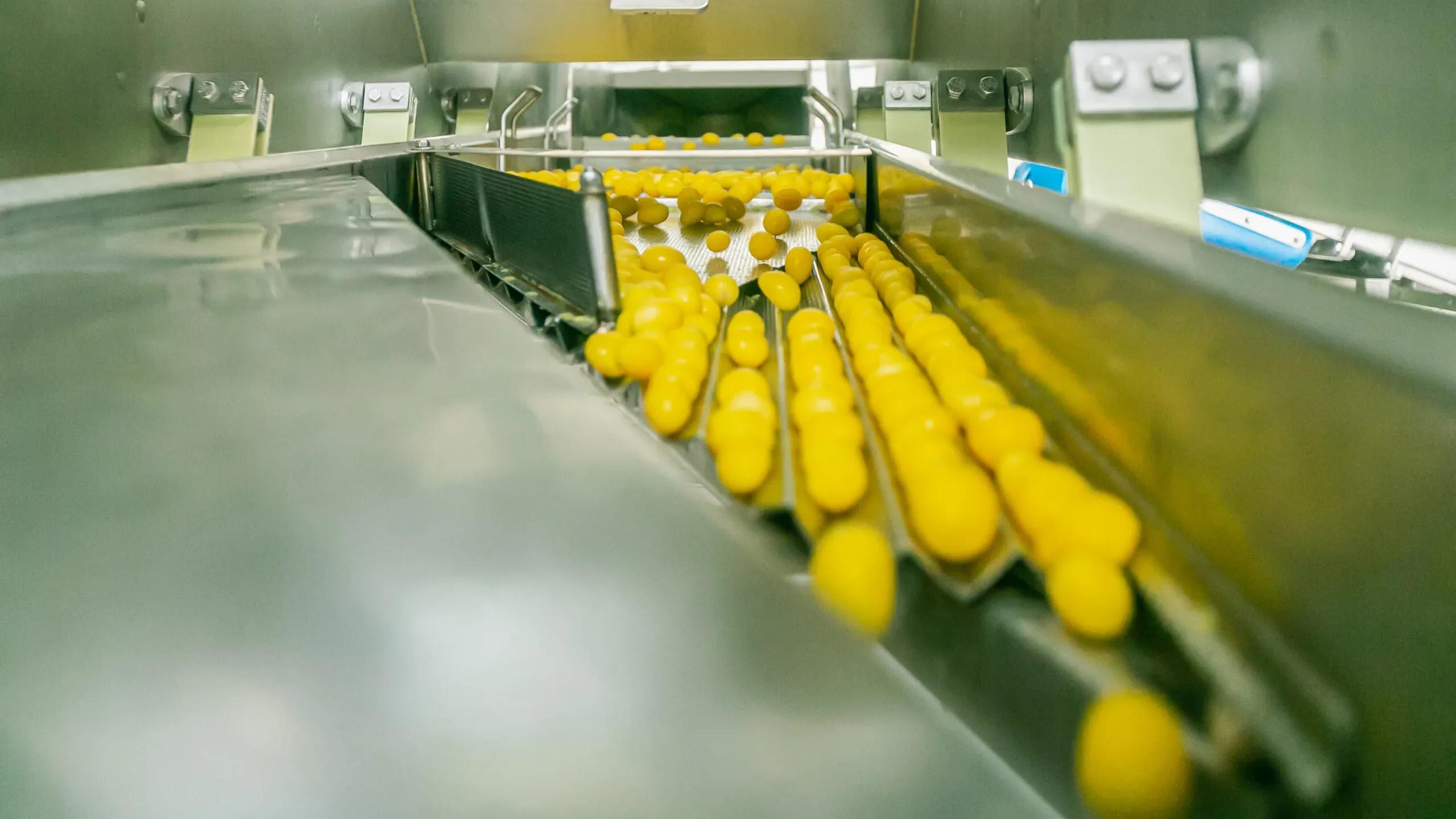 Technologia rollerknife Forsfood w przetwórstwie ziemniaka – MK Agro