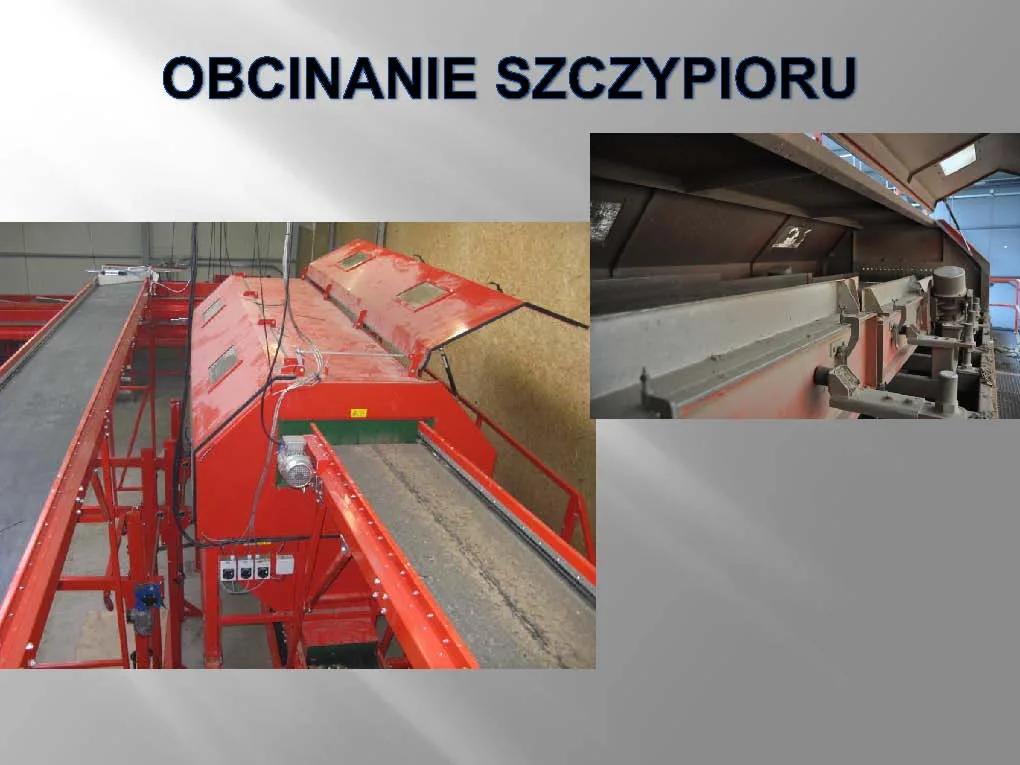Obcinanie szczypioru – czerwona maszyna do obcinania szczypioru cebuli