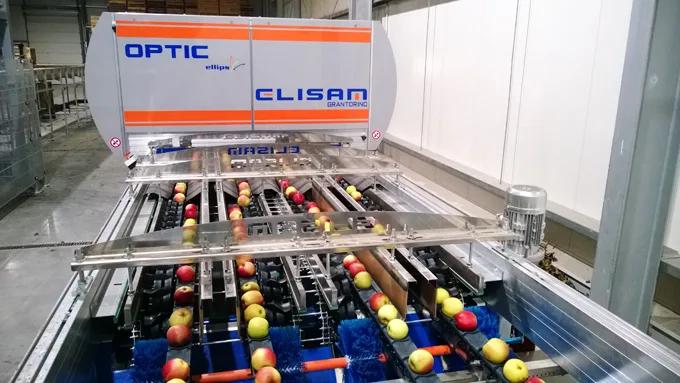 Sortownik optyczny ELISAM Gran Torino