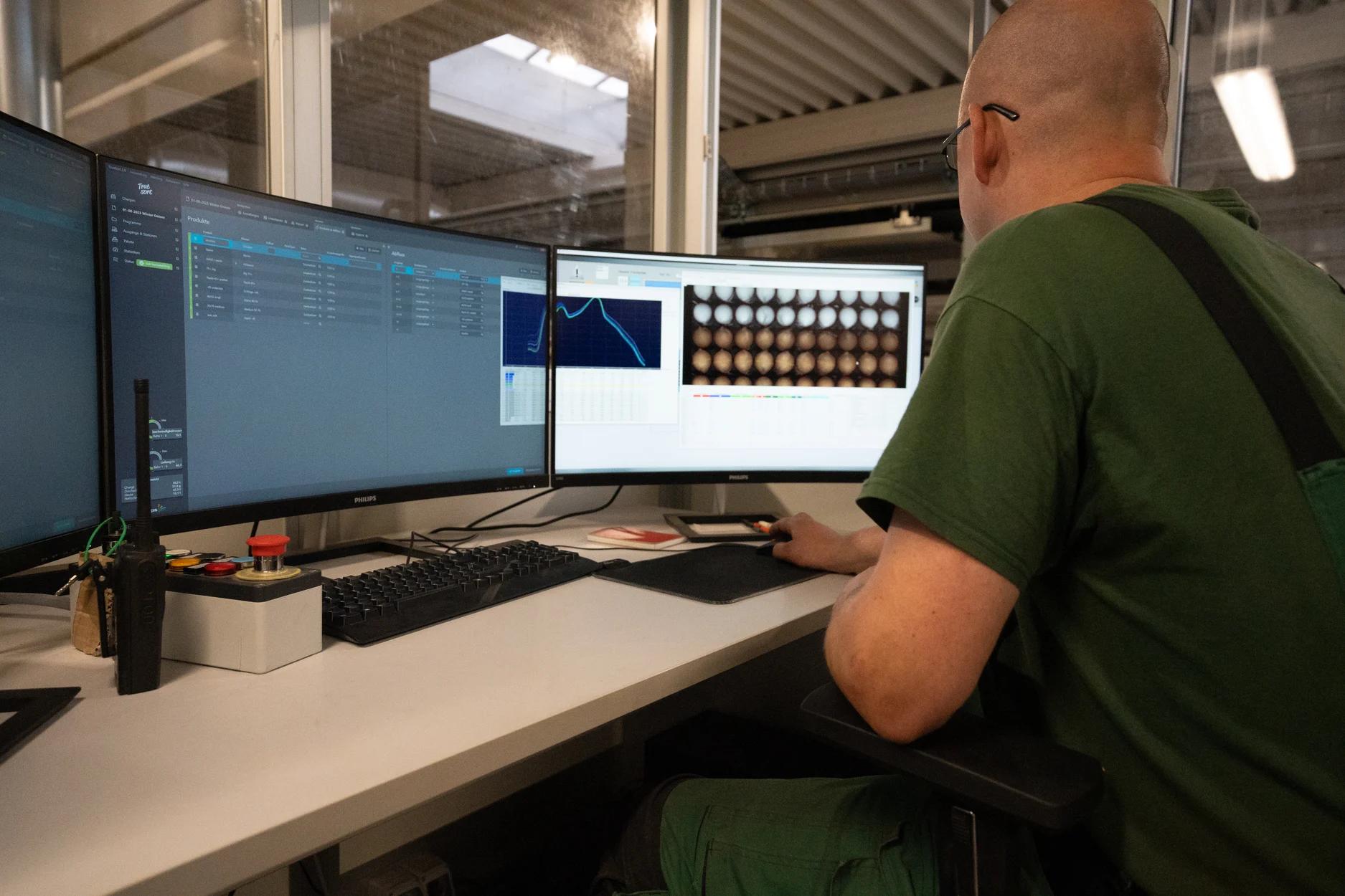 Oprogramowanie optycznego sortowania cebuli – podgląd klasyfikacji