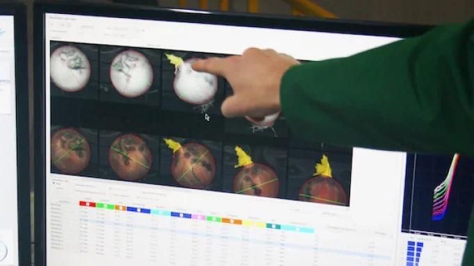 Oprogramowanie do klasyfikacji cebuli – widok systemu sortującego