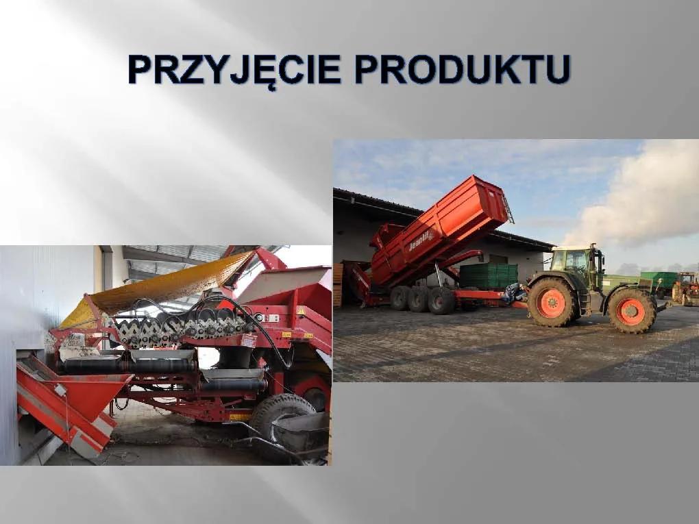 Przyjęcie produktu – kosz przyjęciowy i przyczepa wysypująca cebulę