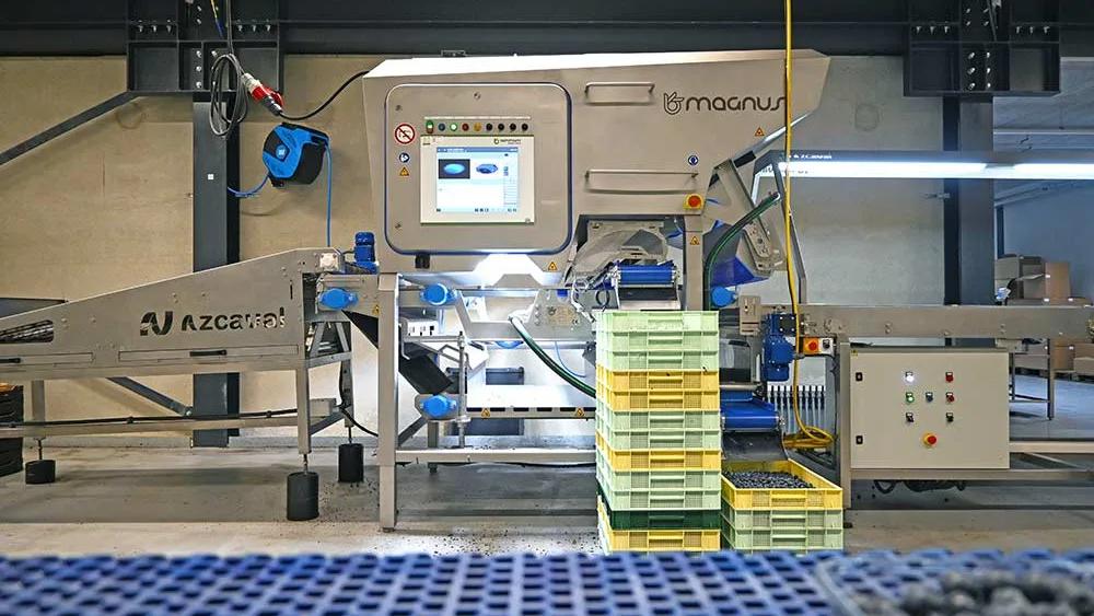 Sorter optyczny Magnus do owoców miękkich – BerryBrothers