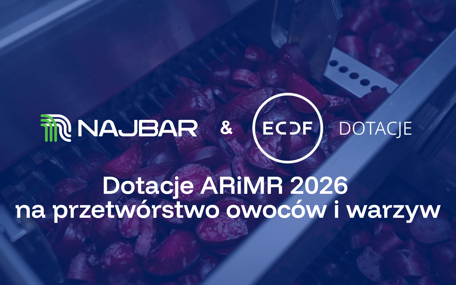 Dotacje ARiMR 2026 na przetwórstwo owoców i warzyw