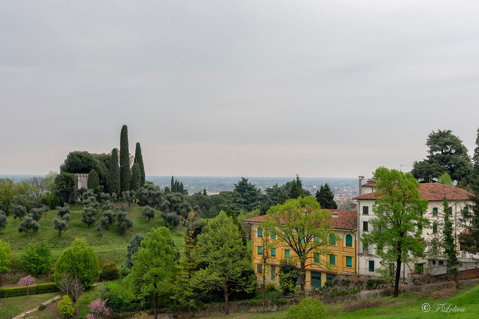 VICENZA 2019 — fotografia 30 di Francesco Loliva
