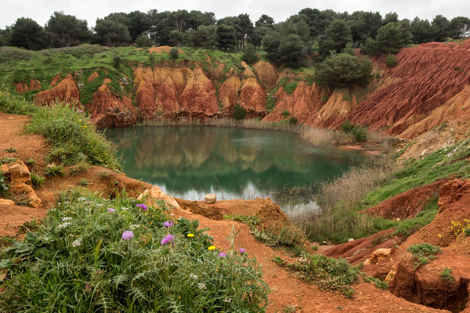 CAVA DI BAUXITE — fotografia 7 di Francesco Loliva