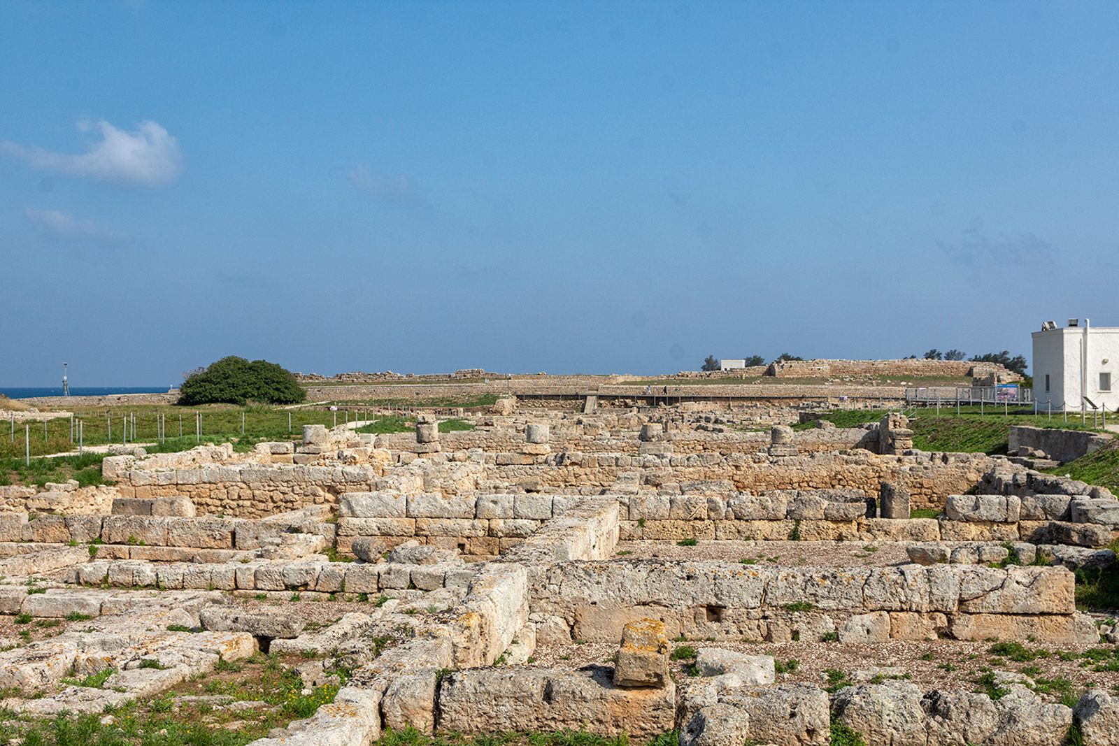 LA CITTA'