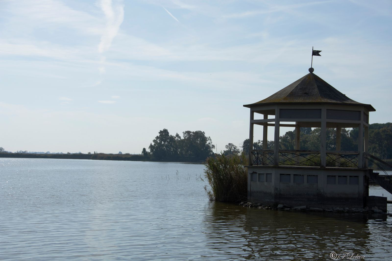 LAGO DI MASSACIUCCOLI — fotografia 5 di Francesco Loliva