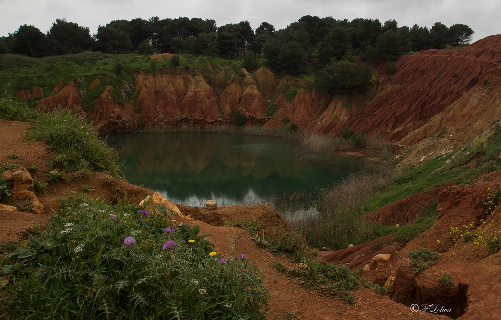CAVA DI BAUXITE Nell'entroterra salentino, tra Otranto e la zona circostante il rinomato faro di Punta Palascia, nei…