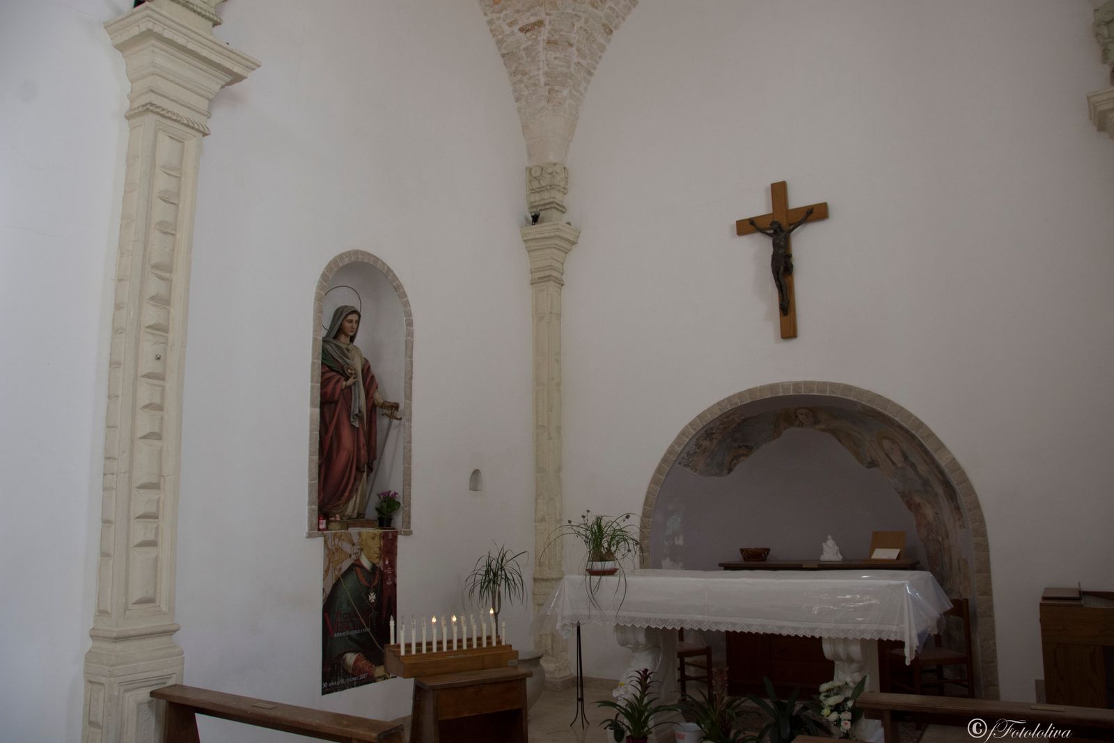 CISTERNINO (BR) — fotografia 16 di Francesco Loliva