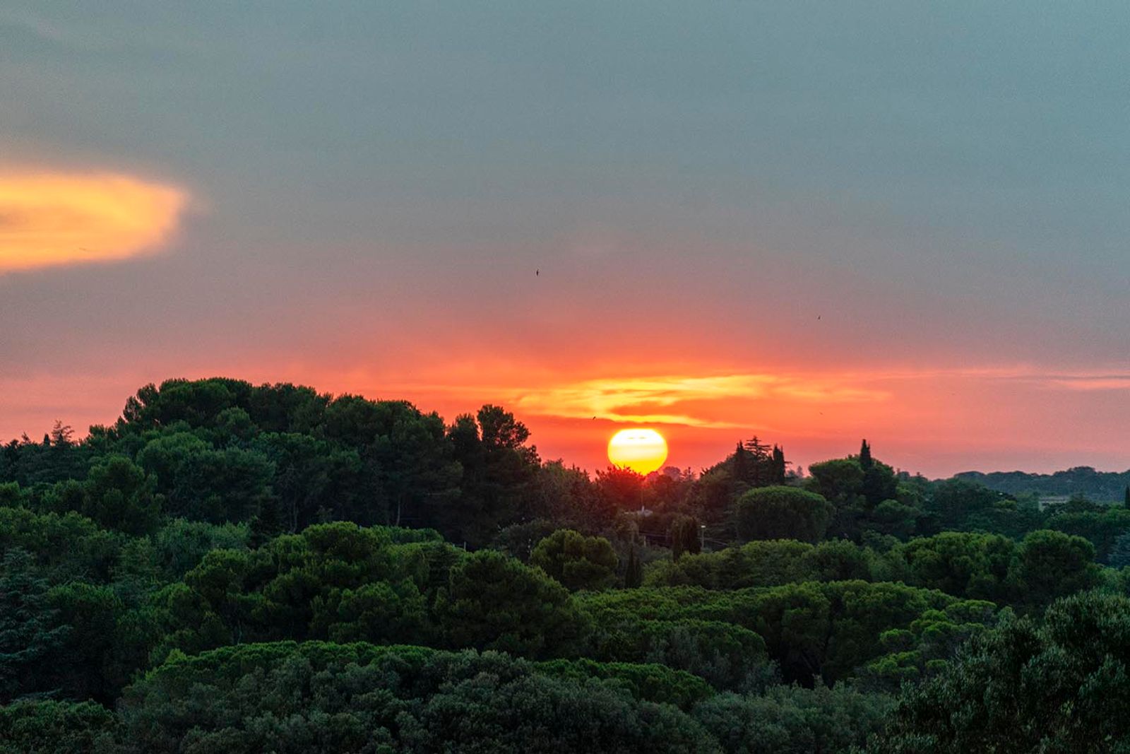 TRAMONTI SILVANI#8