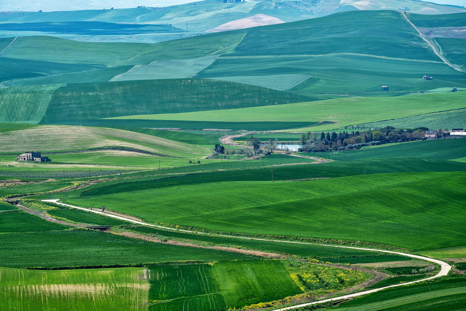 ALTA MURGIA- I COLORI DELLA PRIMAVERA — fotografia 6 di Francesco Loliva