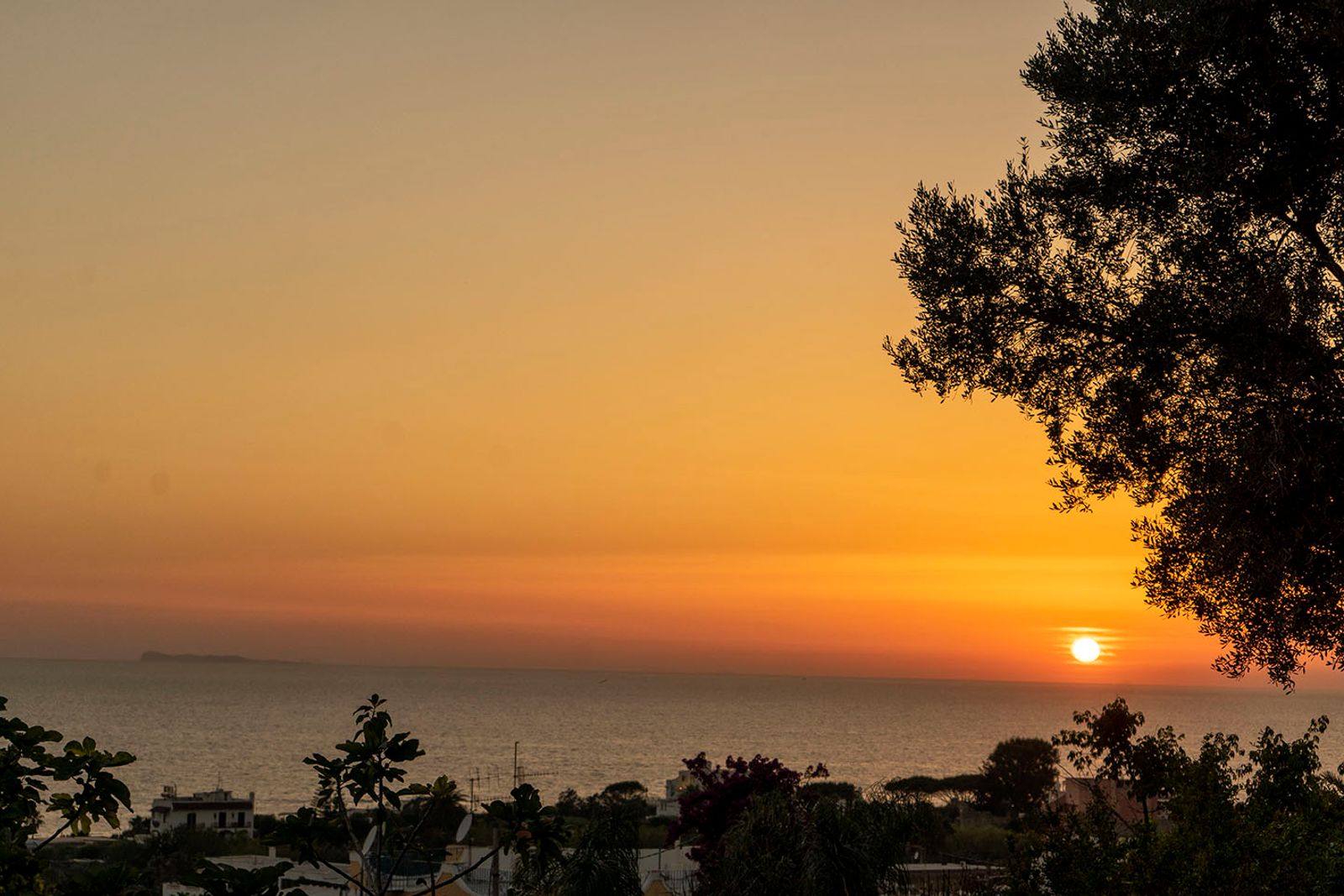 TRAMONTO ISCHITANO #11