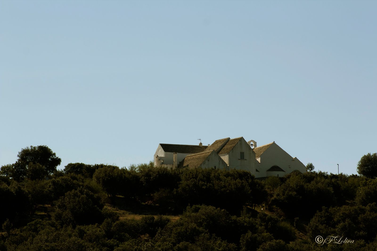 CHIESA DI S.MARIA DEL BARSENTO - NOCI (BA) — fotografia 19 di Francesco Loliva