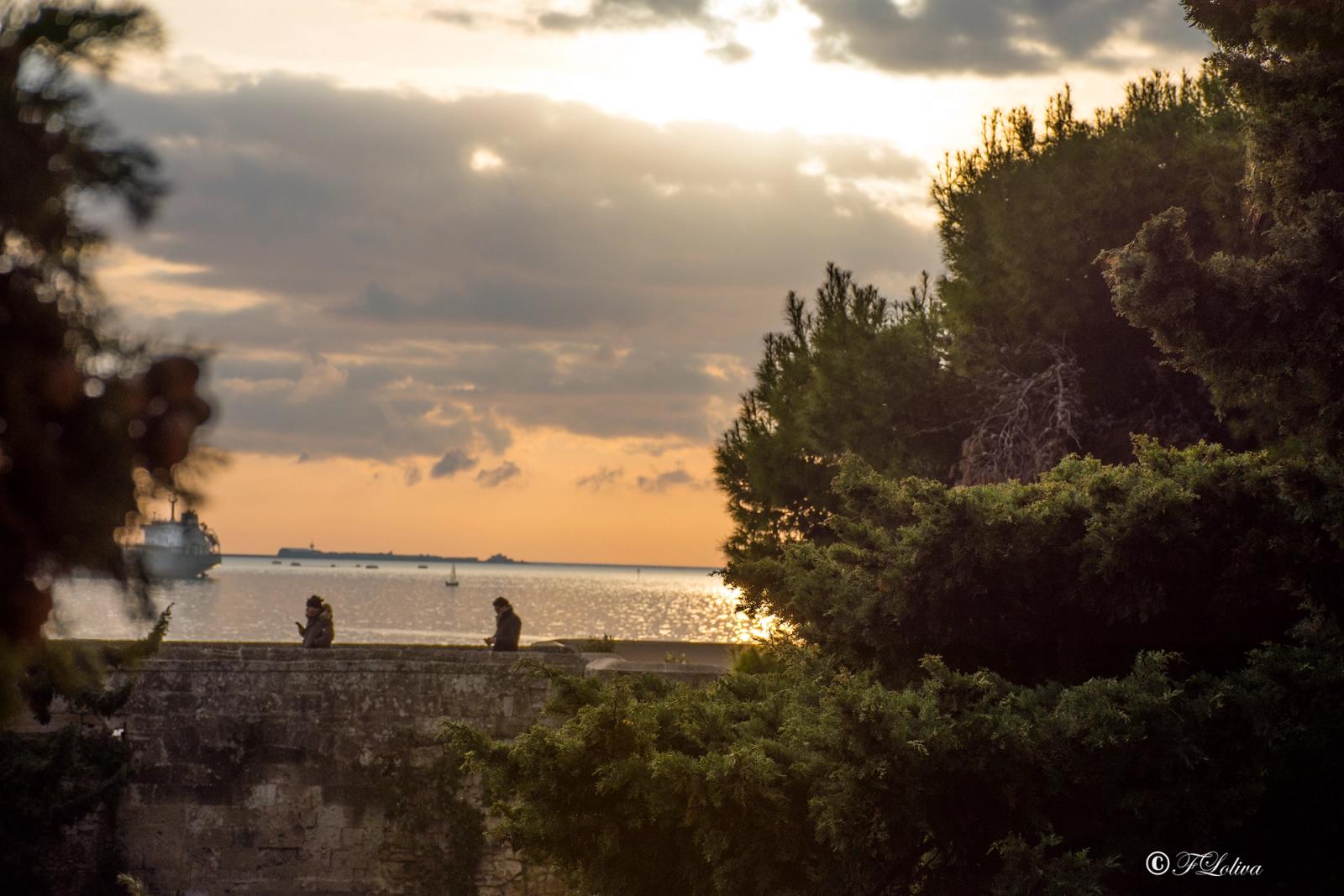 TARANTO — fotografia 9 di Francesco Loliva