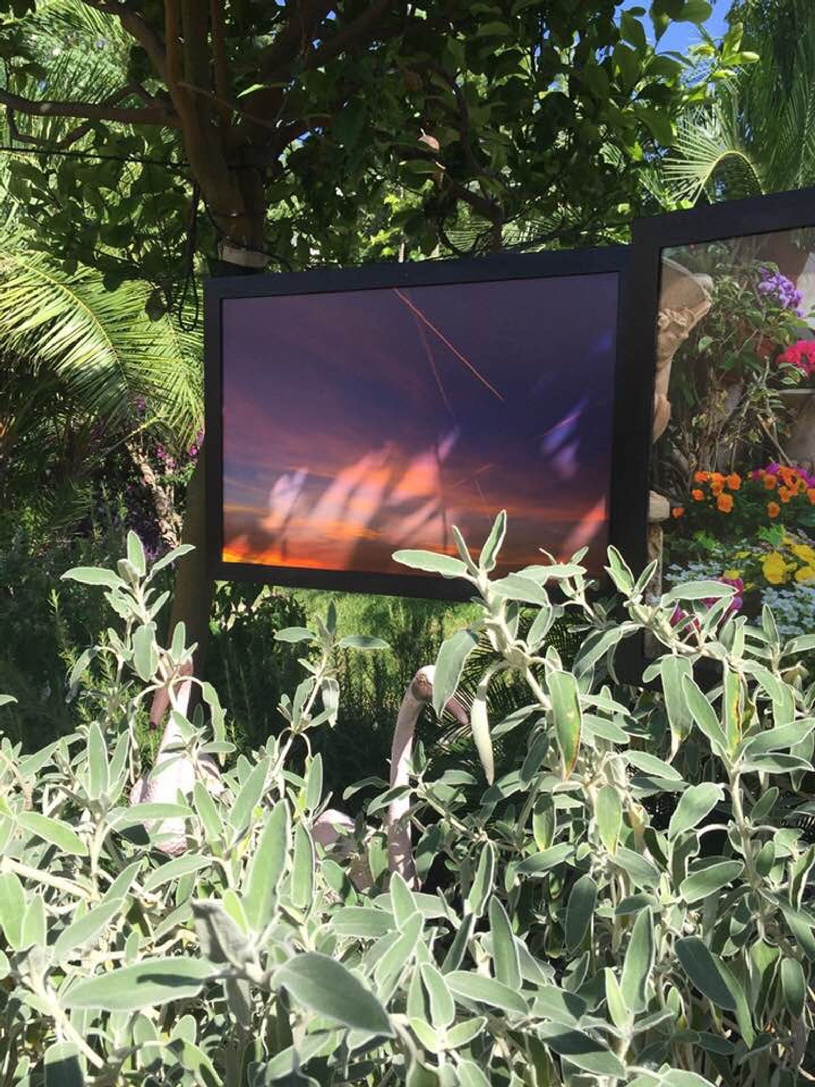ISCHIA CONTEMPRANY ART 14-24 LUGLIO 2019 — fotografia 4 di Francesco Loliva