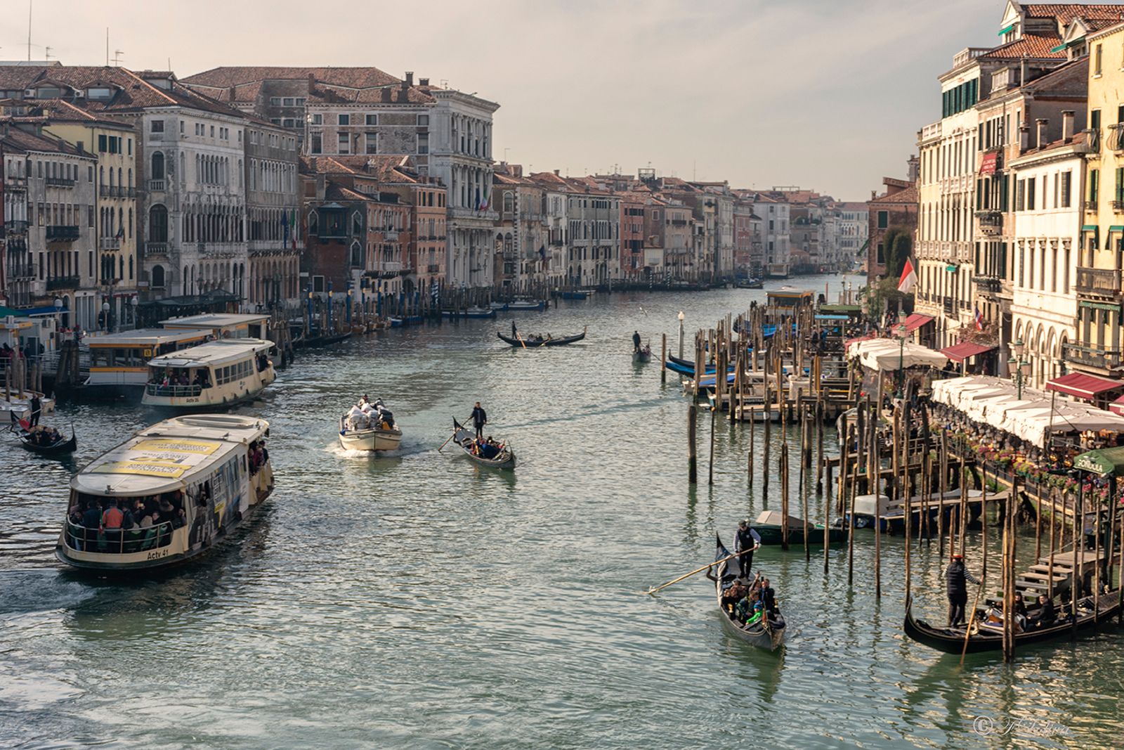 VENEZIA 2019 — fotografia 17 di Francesco Loliva