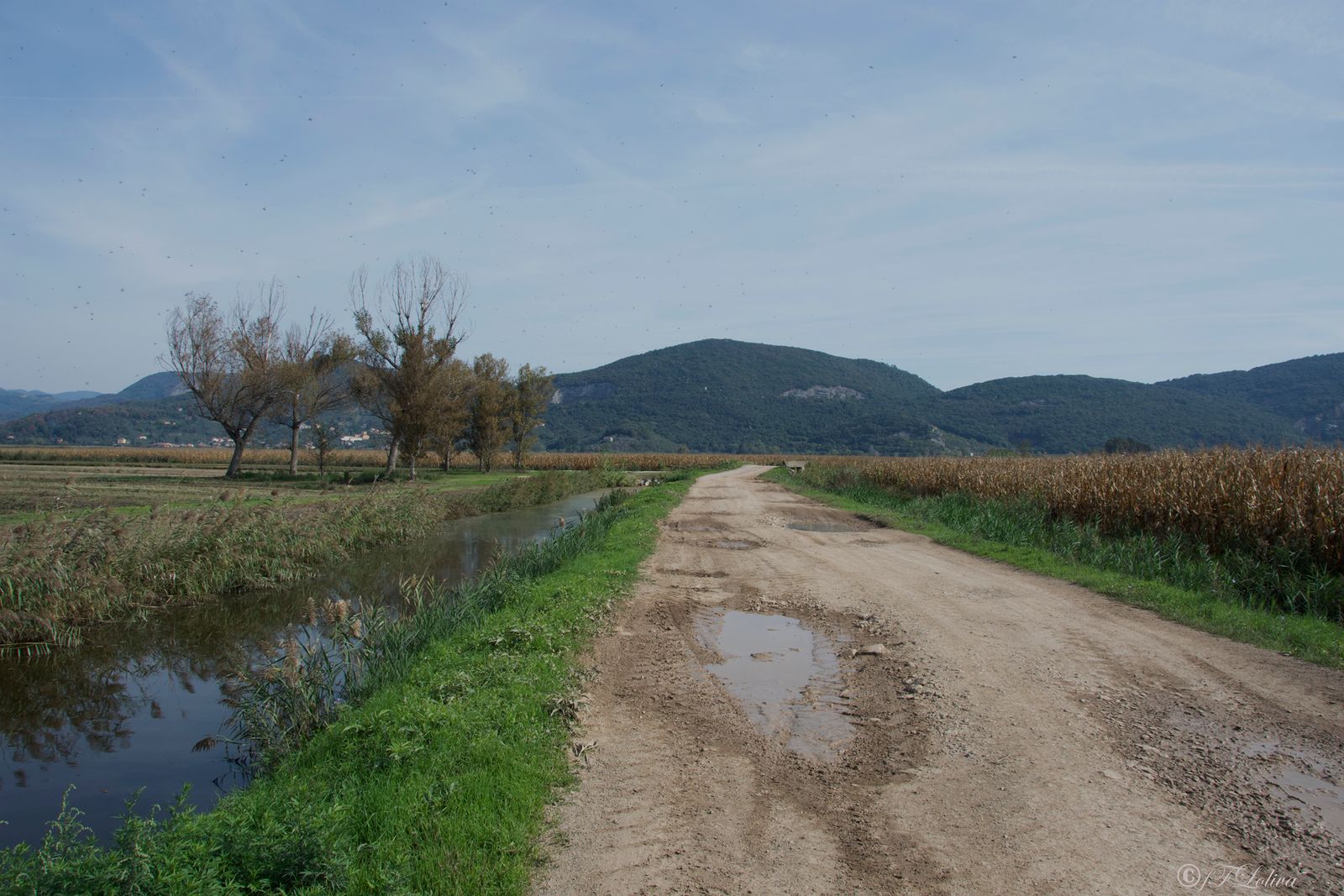 LAGO DI MASSACIUCCOLI — fotografia 17 di Francesco Loliva