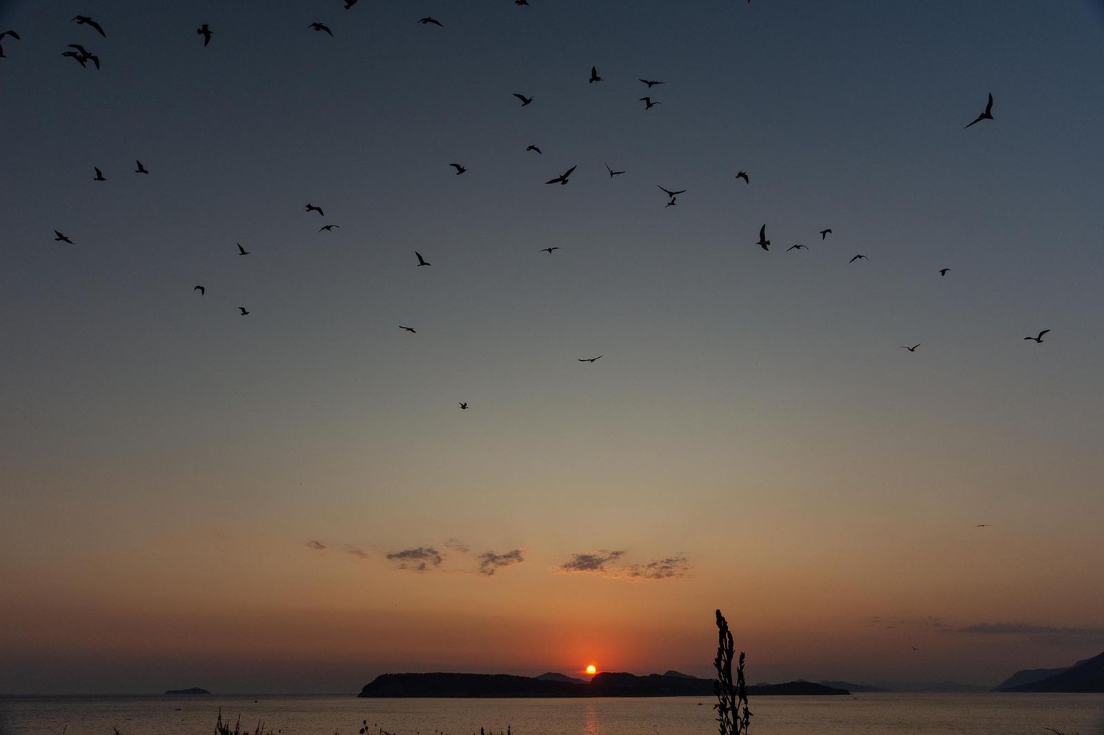 Tramonti croati — fotografia 11 di Francesco Loliva