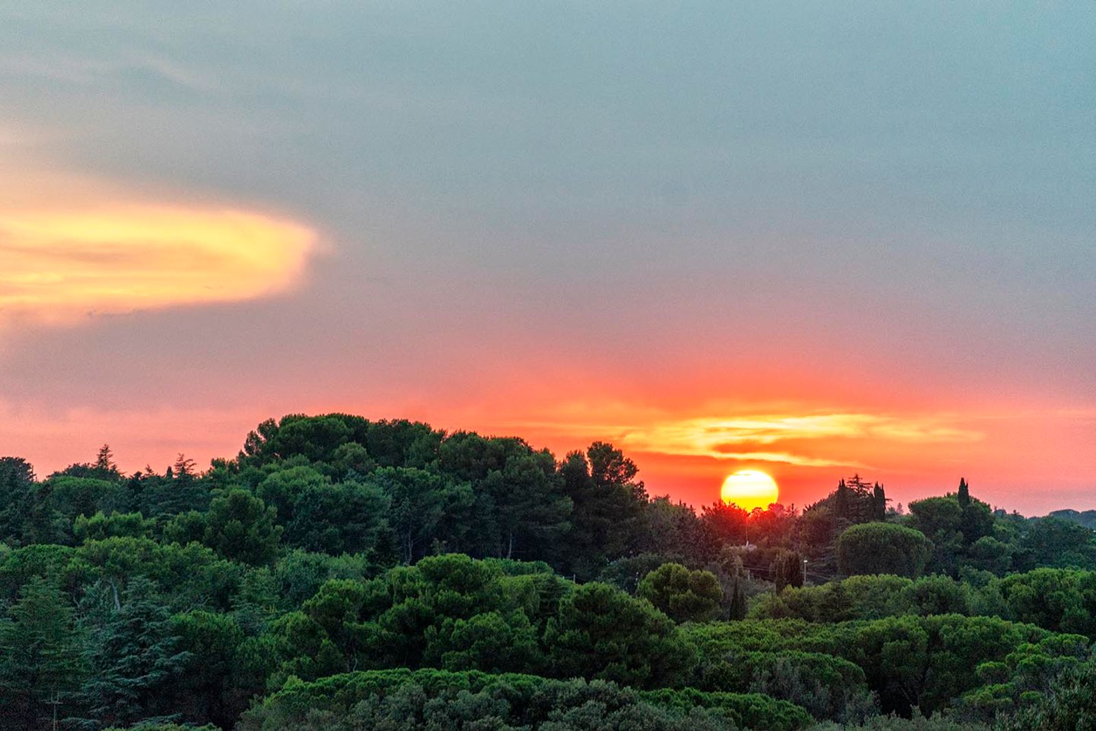 TRAMONTI SILVANI#10