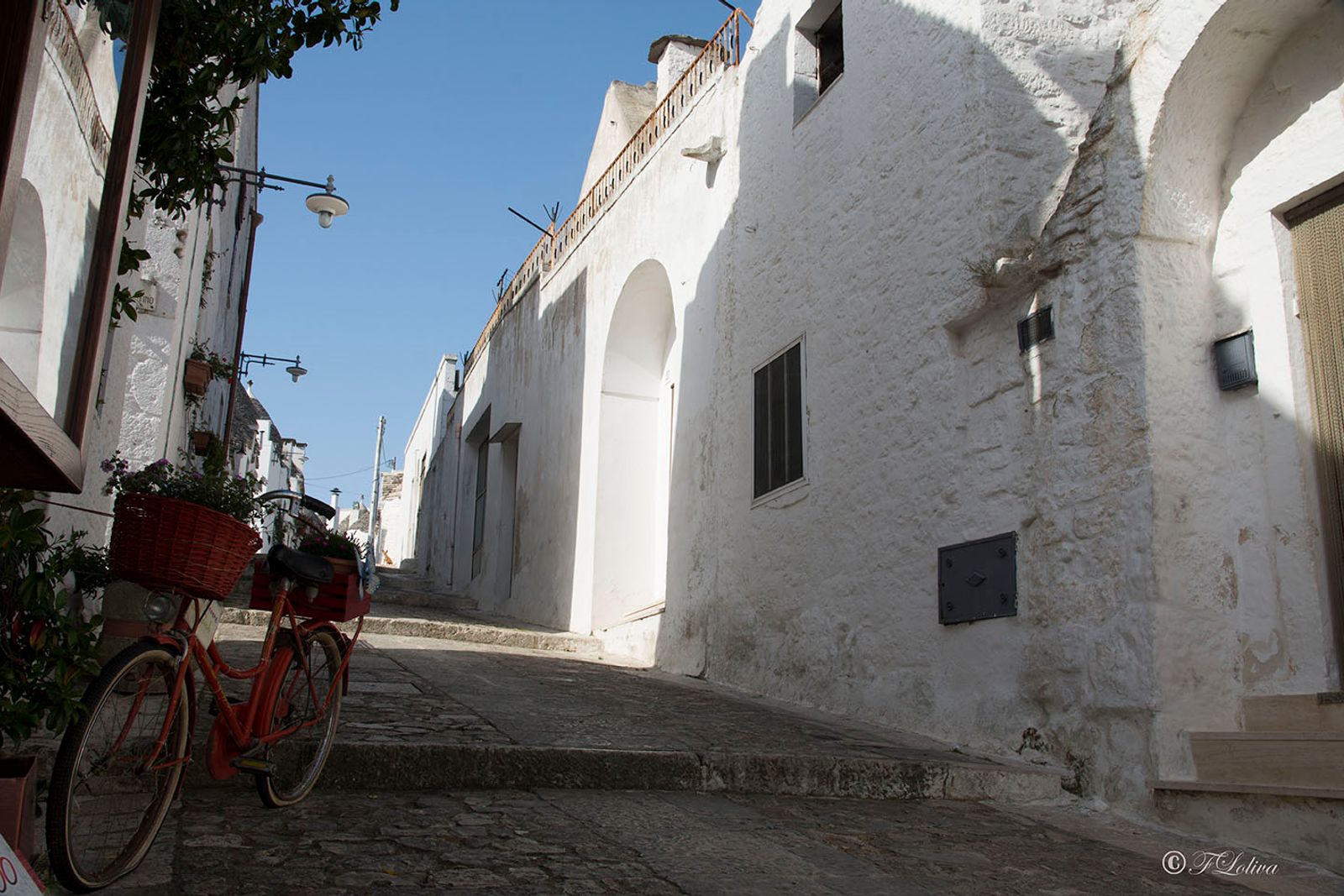 ALBEROBELLO — fotografia 9 di Francesco Loliva