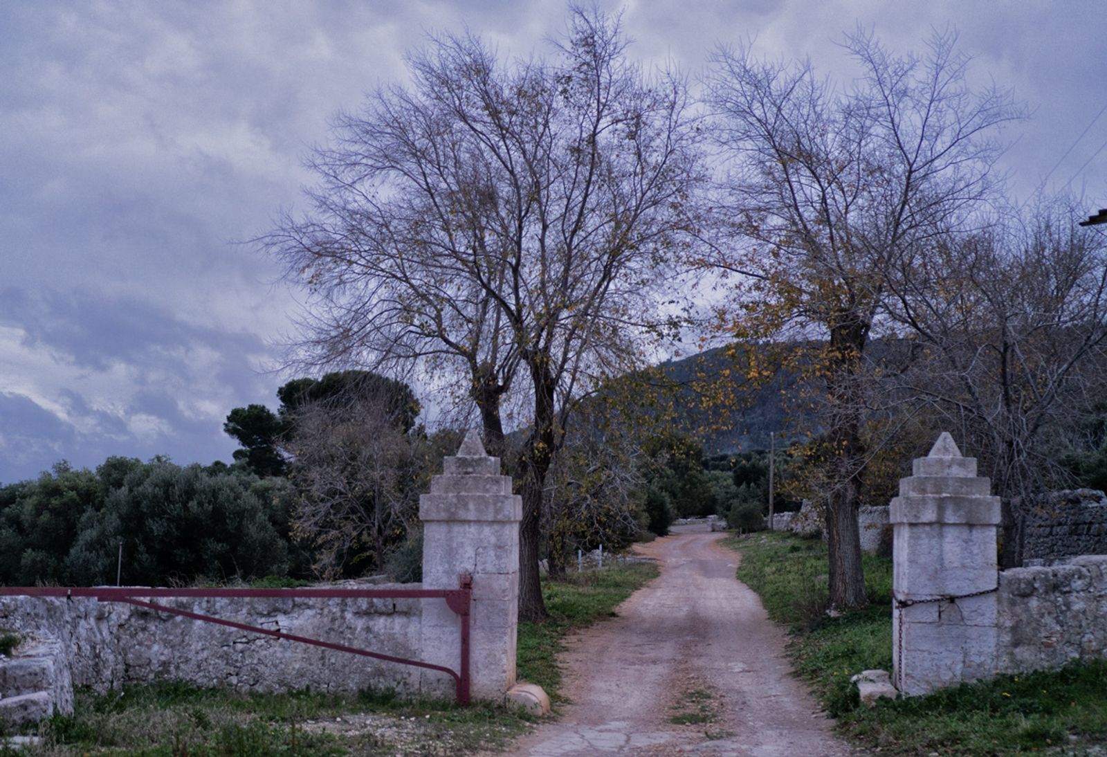UNA VECCHIA MASSERIA PUGLIESE — fotografia 1 di Francesco Loliva