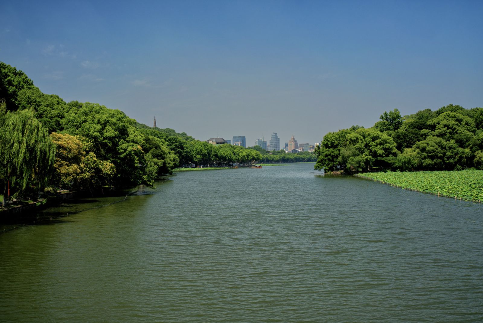 Cina 2026: Hangzhou (10 giugno) — fotografia 14 di Francesco Loliva