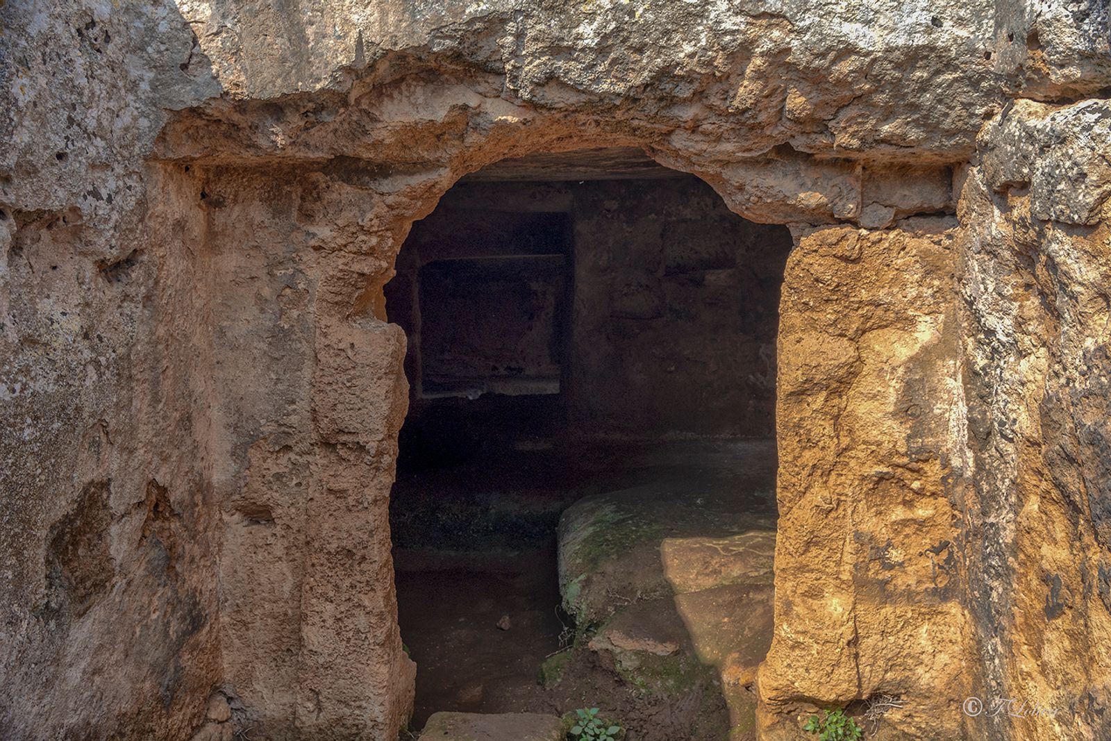 PARCO ARCHEOLOGICO DI EGNAZIA — fotografia 9 di Francesco Loliva