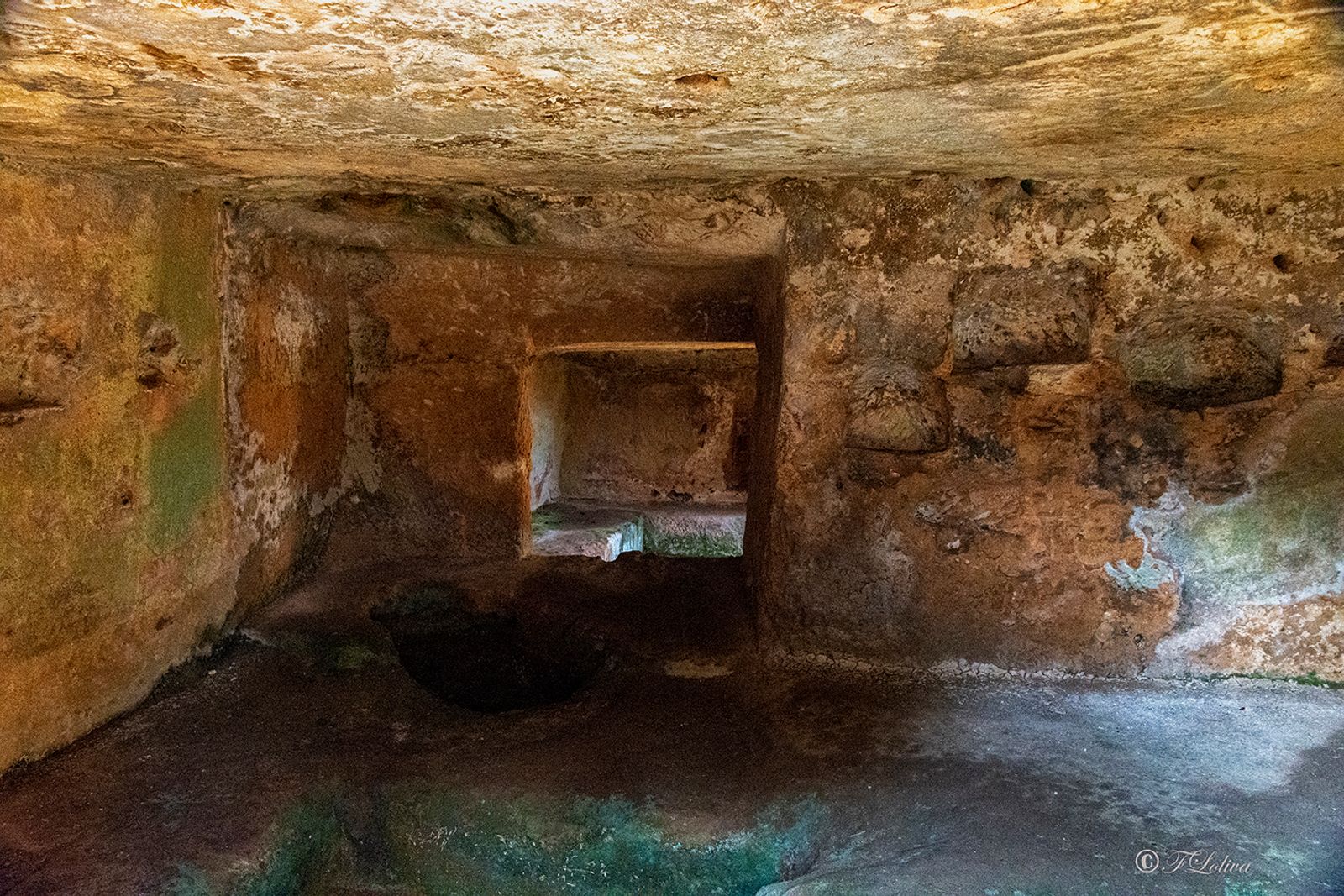 PARCO ARCHEOLOGICO DI EGNAZIA — fotografia 10 di Francesco Loliva