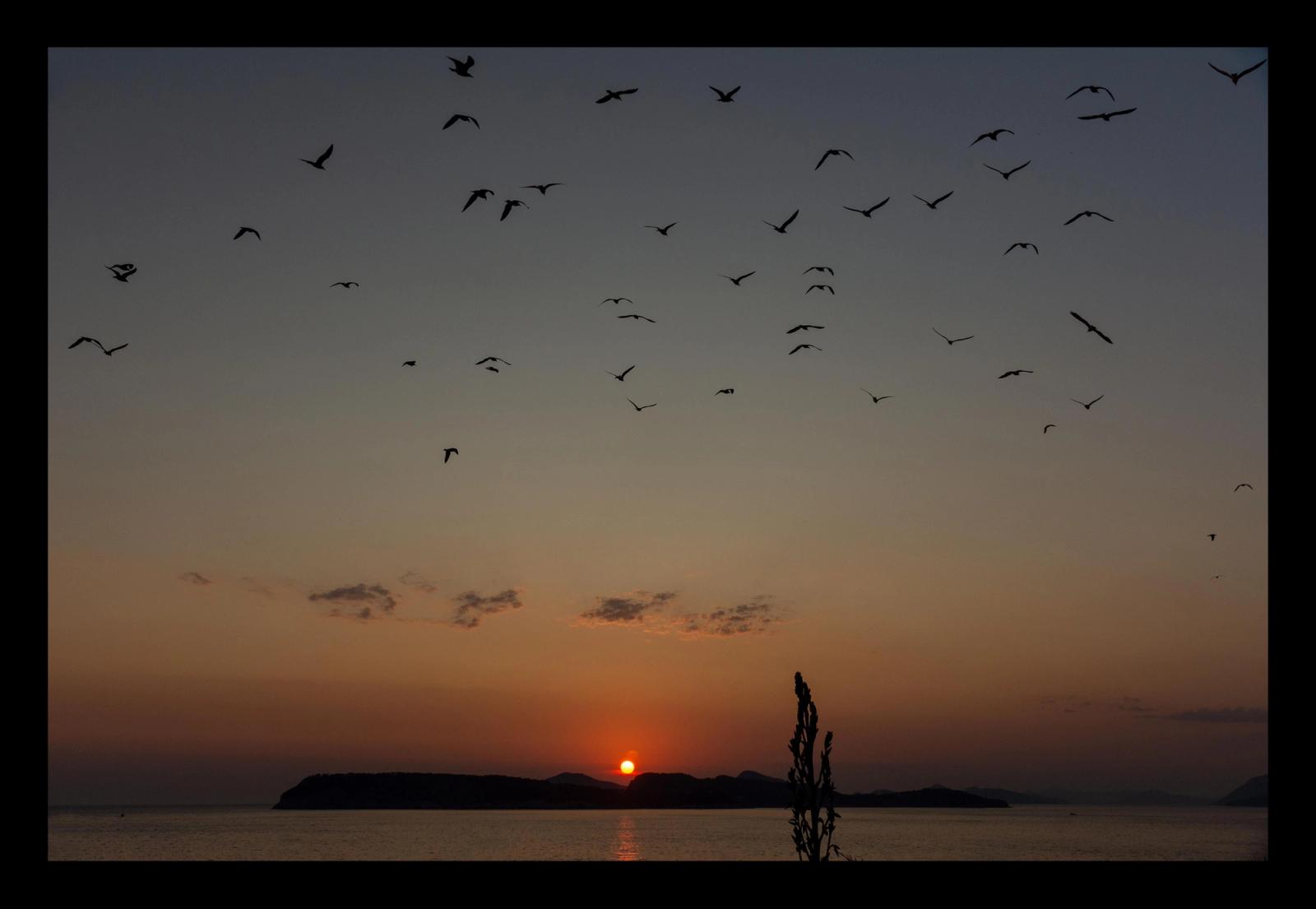 TRAMONTO CROATO #7 SCOPE ART SHOW NEW YORK 5-9 MARZO 2020