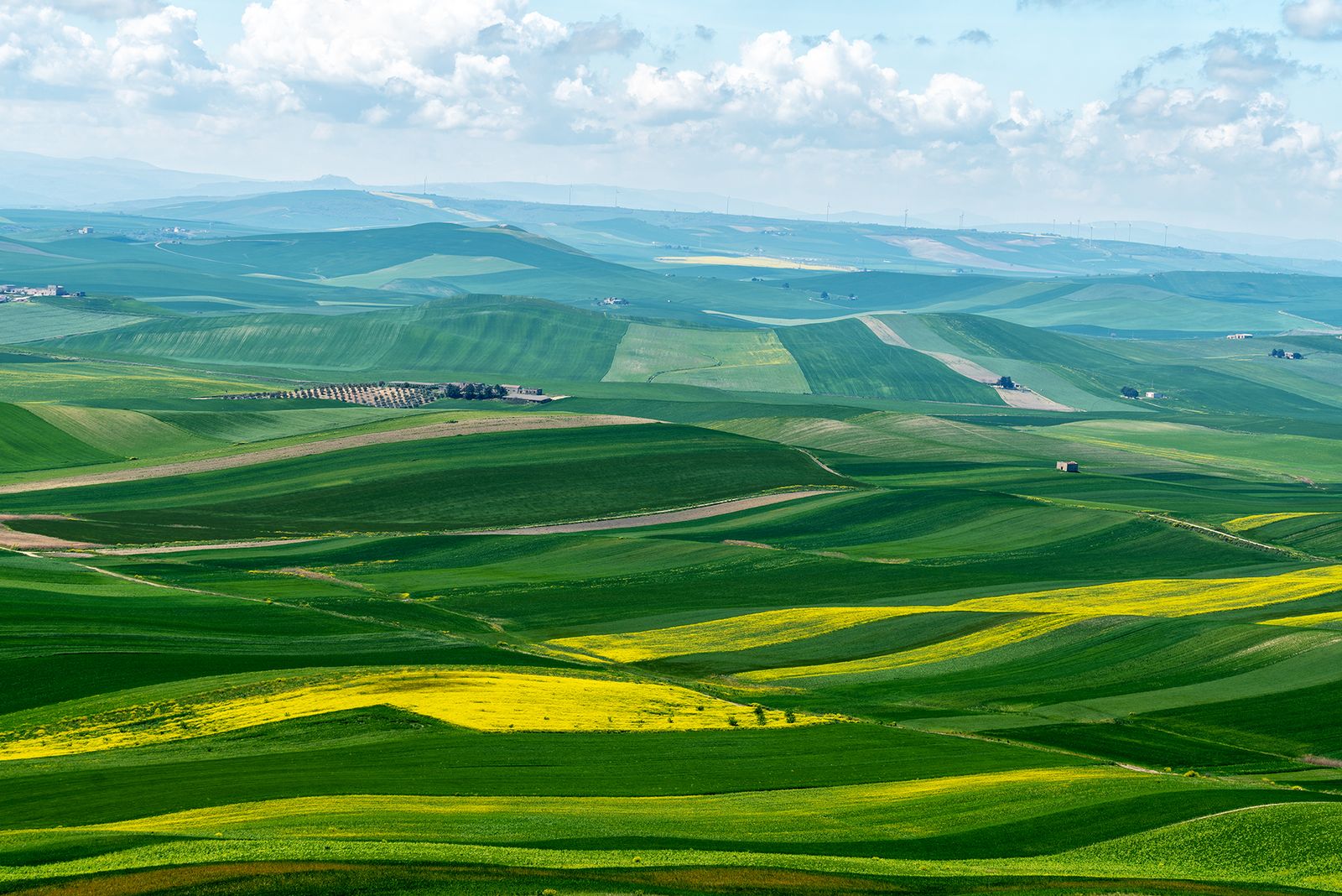 ALTA MURGIA- I COLORI DELLA PRIMAVERA — fotografia 5 di Francesco Loliva