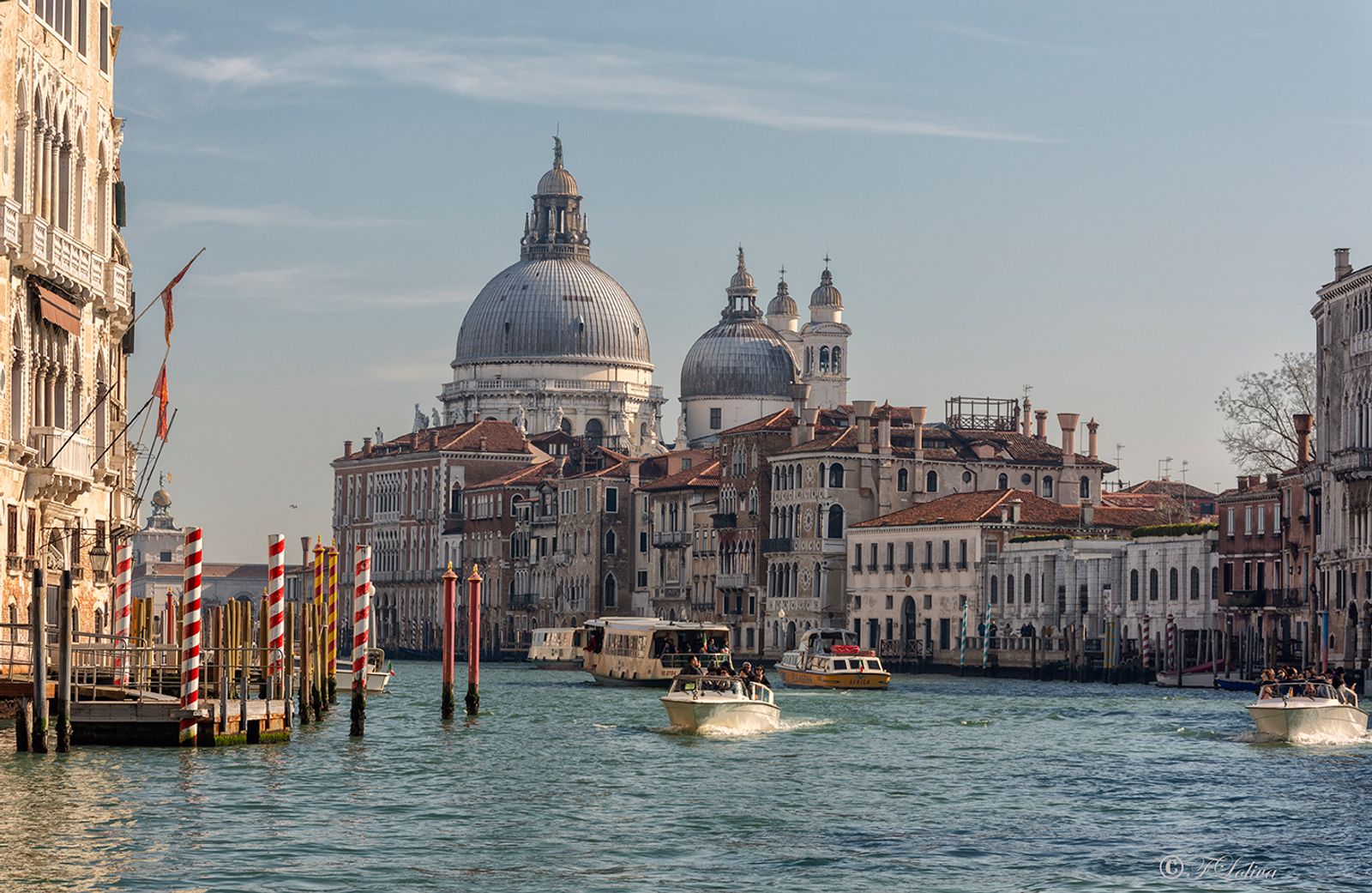 VENEZIA 2019 — fotografia 22 di Francesco Loliva