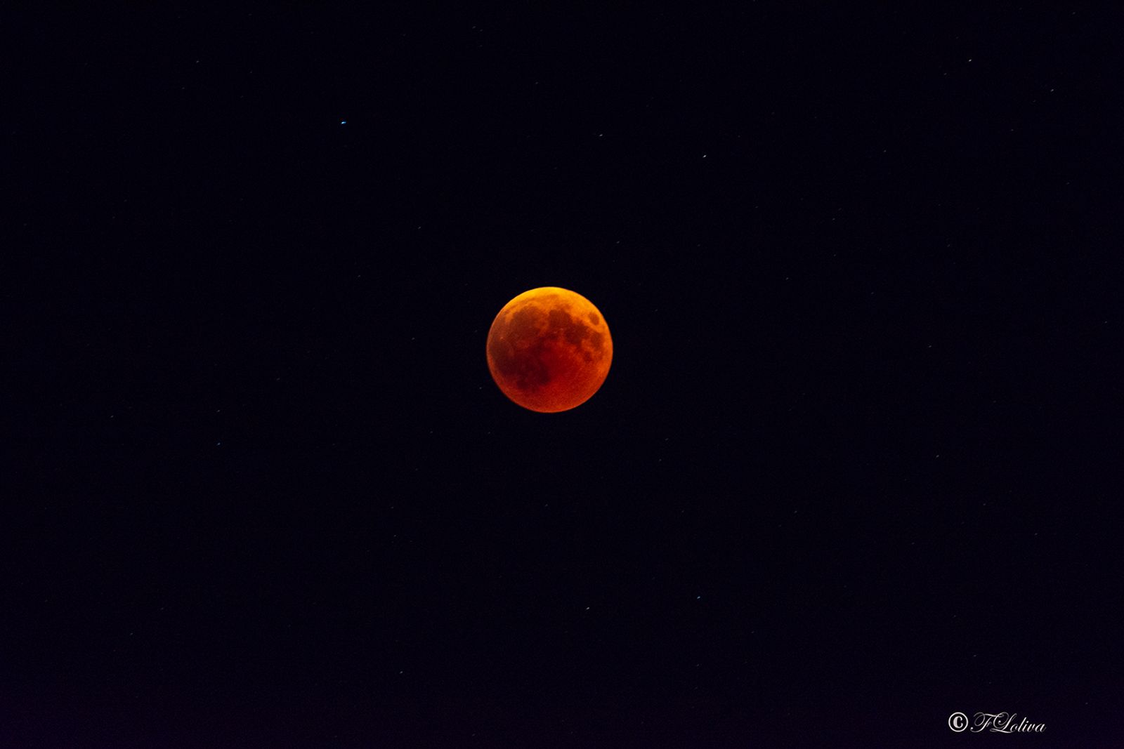 Eclissi totale di luna — fotografia 6 di Francesco Loliva