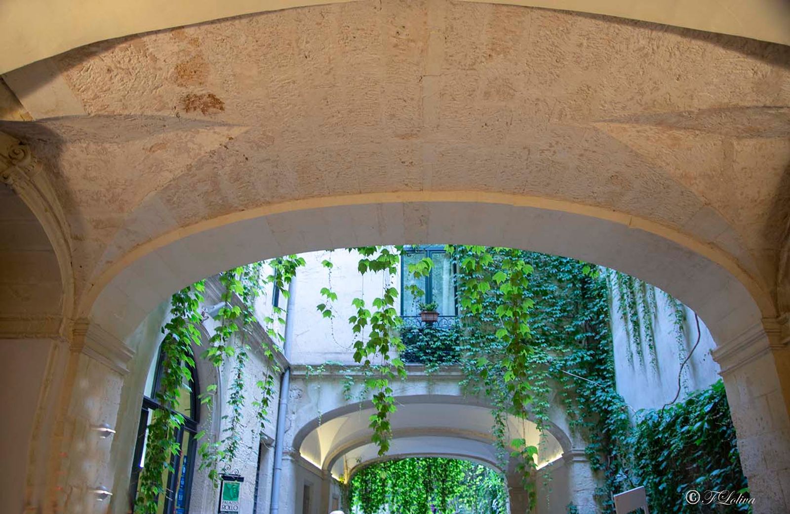 LECCE - CORTILI APERTI — fotografia 6 di Francesco Loliva