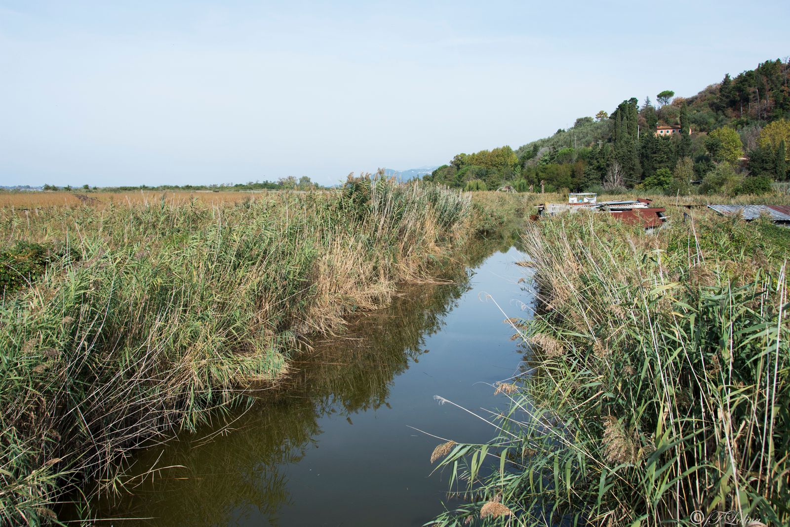 LAGO DI MASSACIUCCOLI — fotografia 11 di Francesco Loliva
