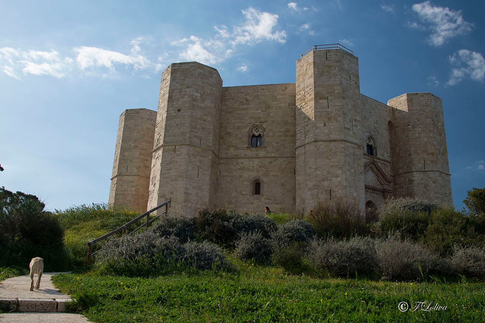 PUGLIA IMPERIALE — fotografia 13 di Francesco Loliva