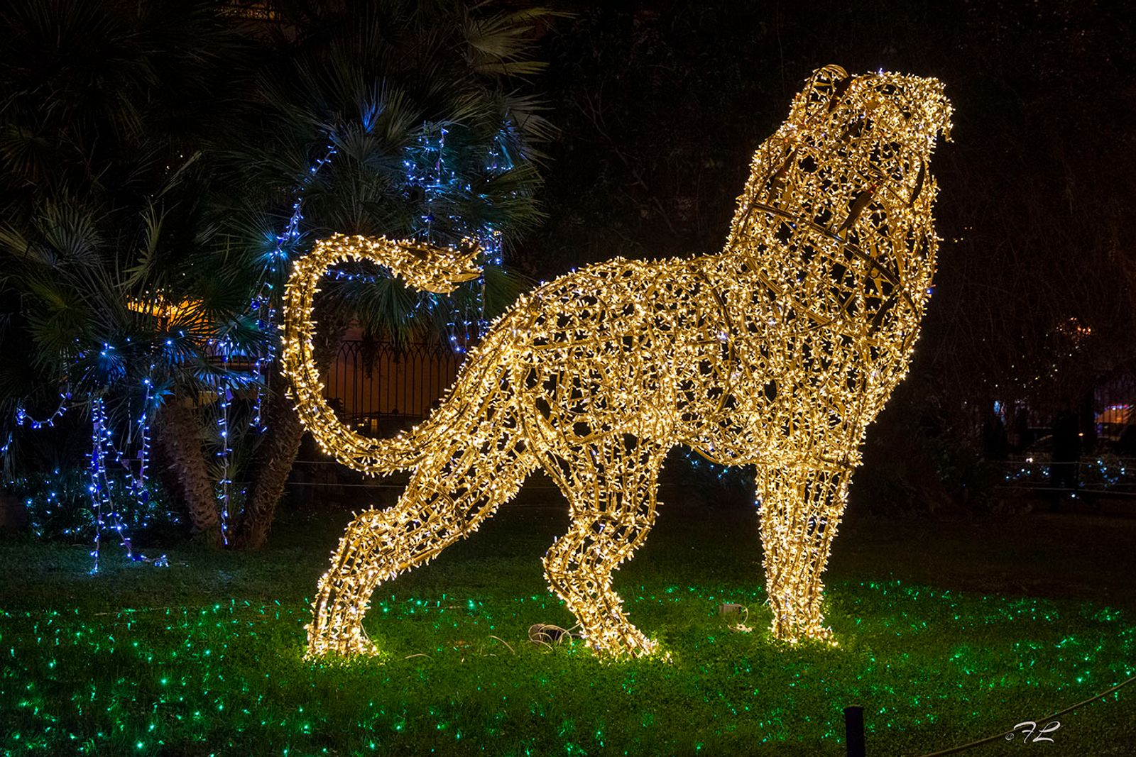 SALERNO IL PORTO E LE LUCI D'ARTISTA — fotografia 13 di Francesco Loliva