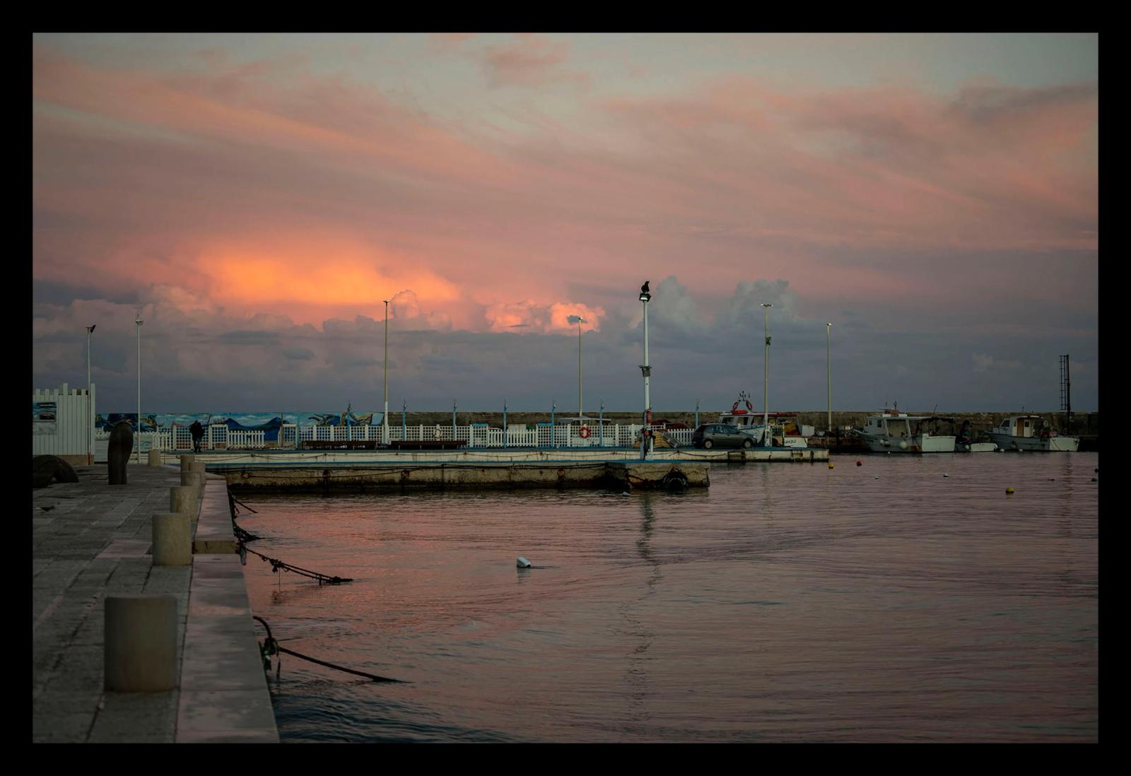 TORRE CANNE - IL PORTO