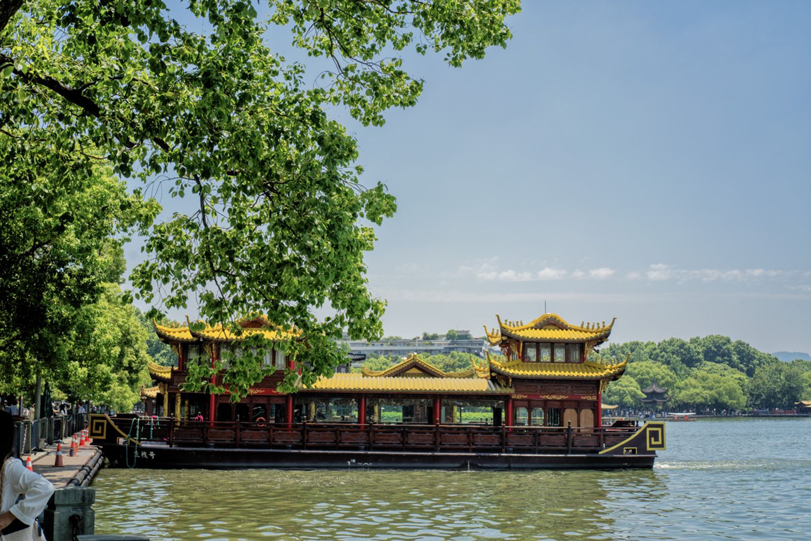 Cina 2026: Hangzhou (10 giugno) — fotografia 5 di Francesco Loliva