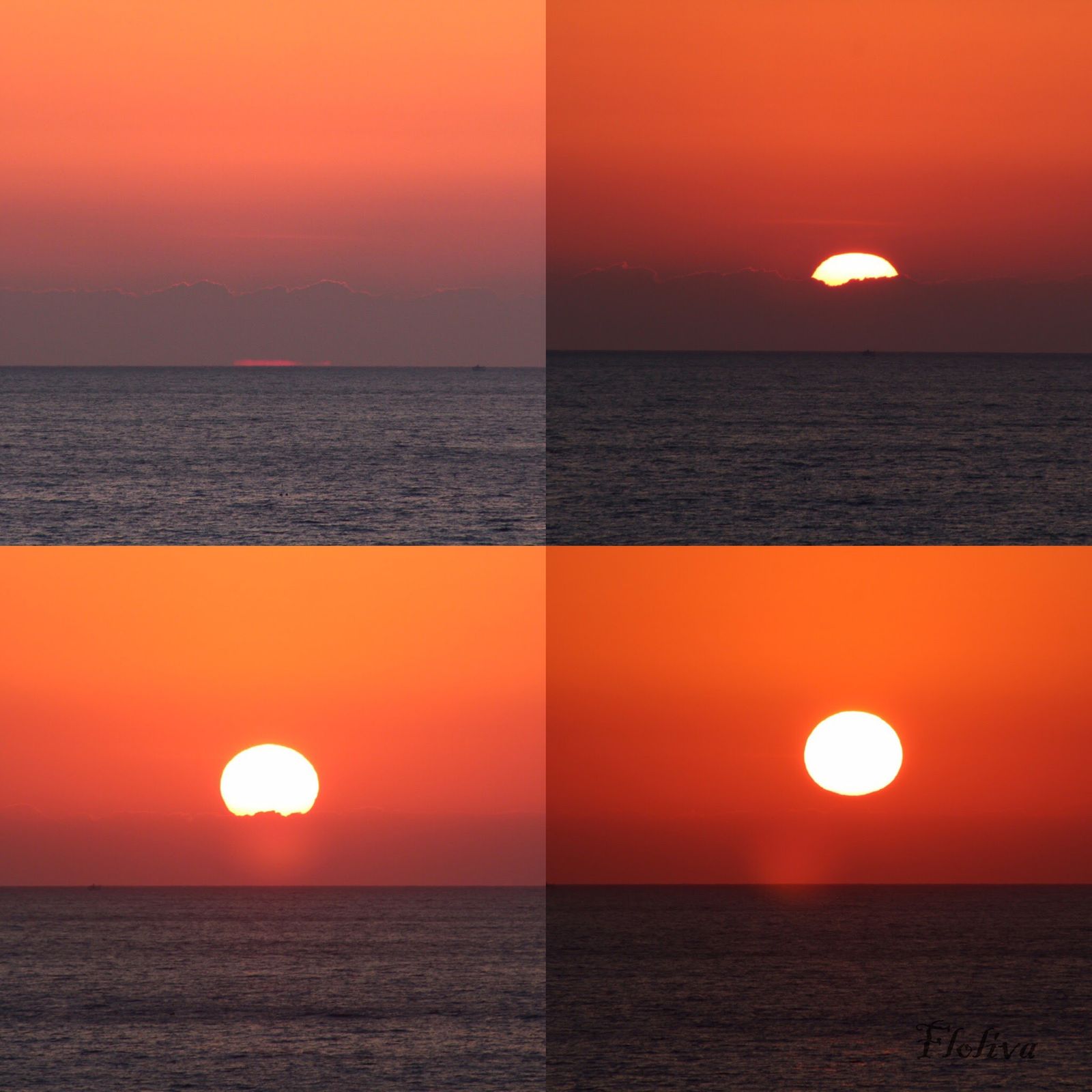 l'alba step by step