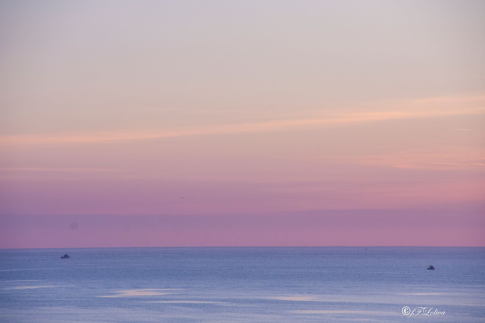 Barche all'alba — fotografia 8 di Francesco Loliva