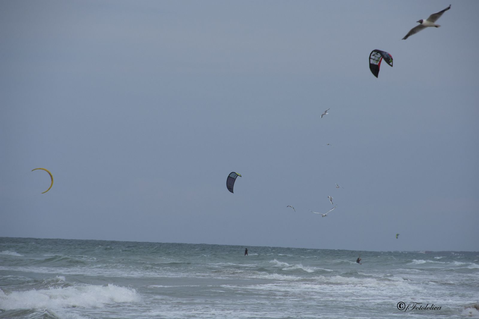 Kitesurf — fotografia 4 di Francesco Loliva