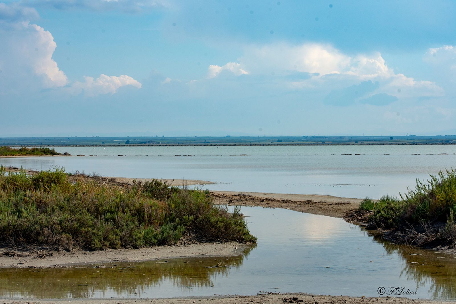 ZONA EVAPORANTE La superficie delle saline è di 4000 ettari totali, per un totale di 3500 vasche, 500 argini e la zona…