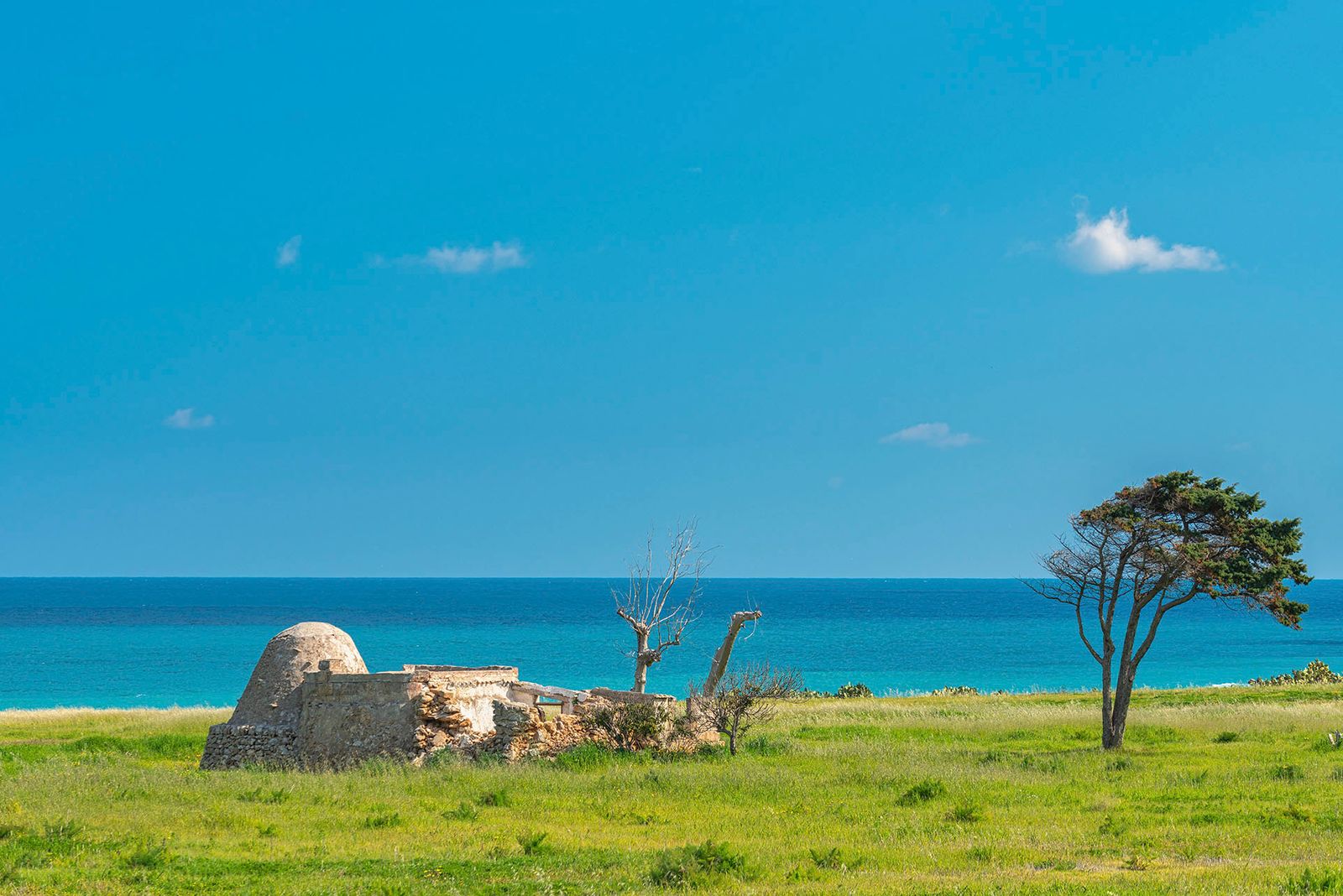 COSTA RIPAGNOLA