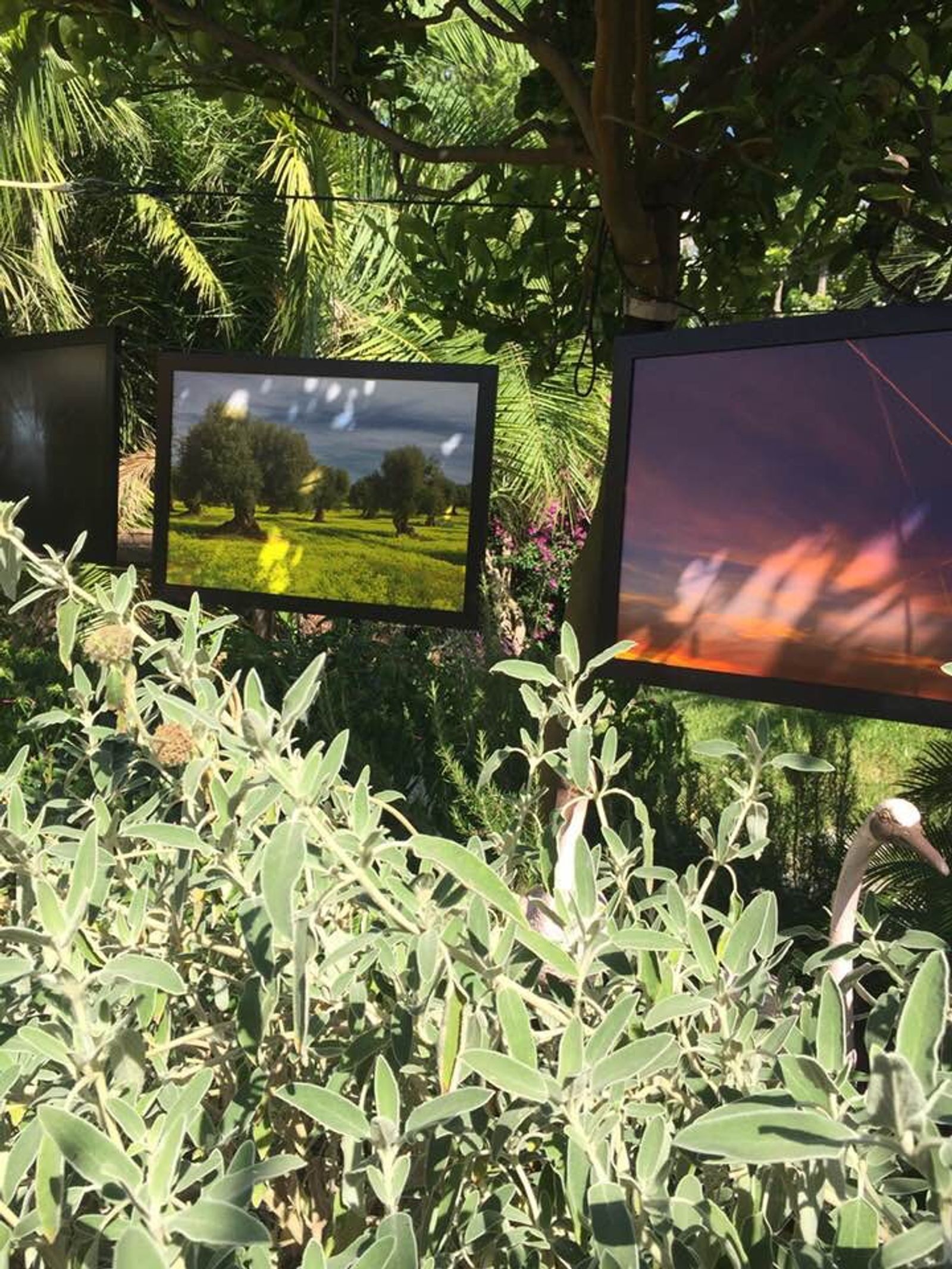 ISCHIA CONTEMPRANY ART 14-24 LUGLIO 2019 — fotografia 1 di Francesco Loliva